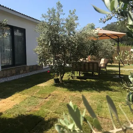 Villa_olive Hotel